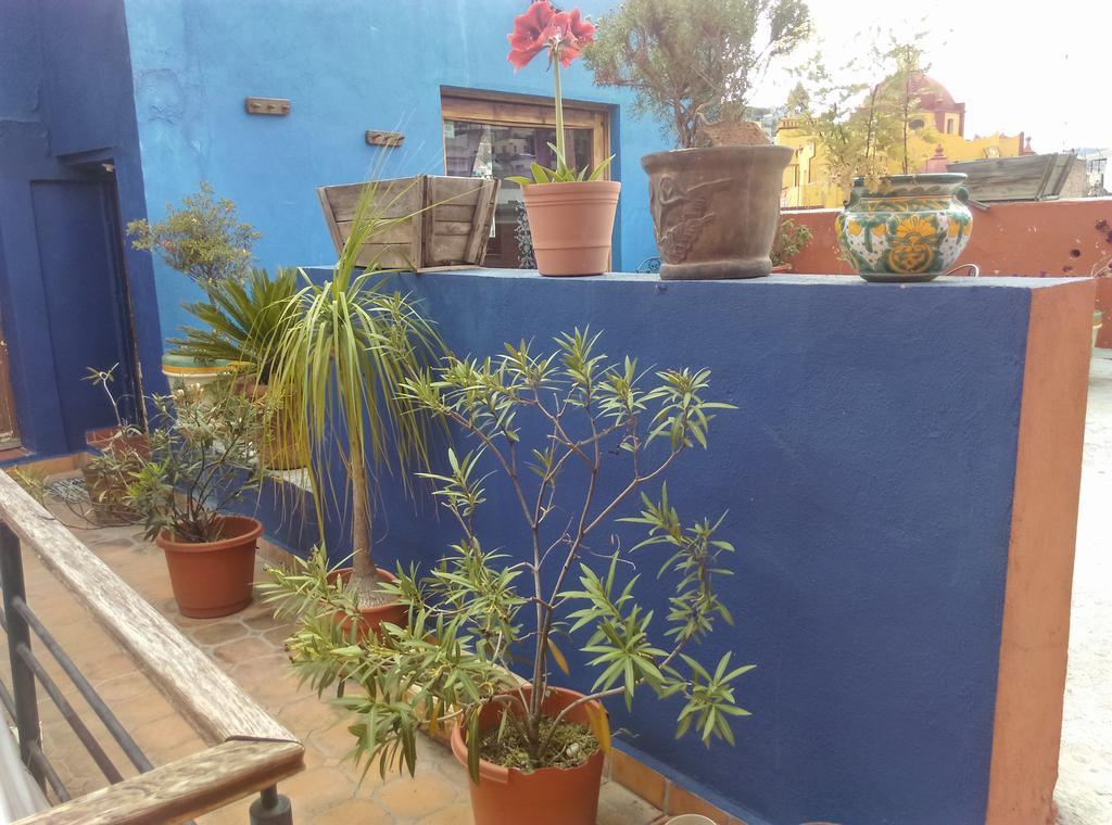 La Fuente Guanajuato Bed & Breakfast Ngoại thất bức ảnh