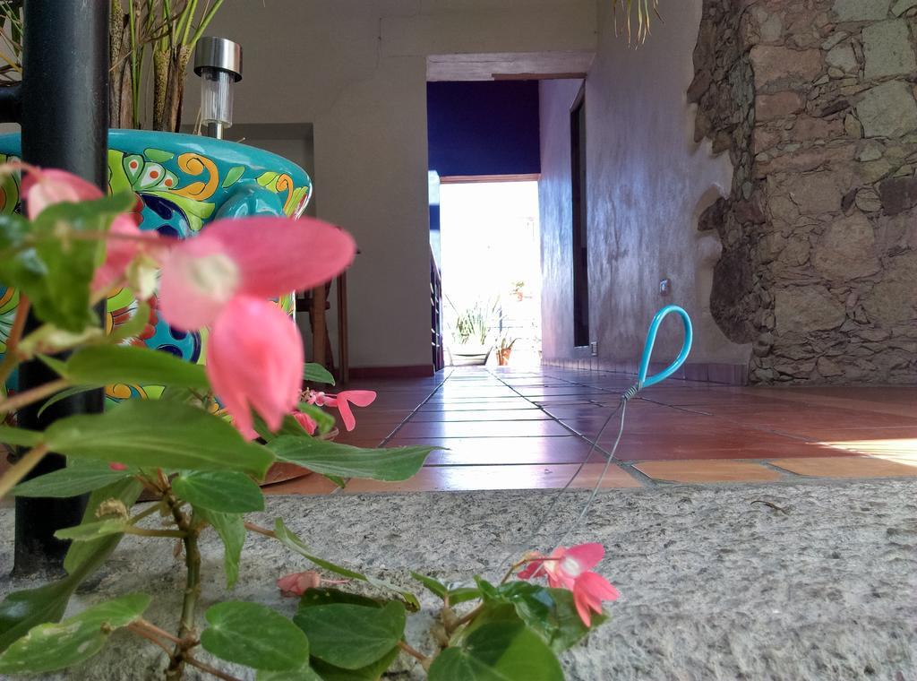 La Fuente Guanajuato Bed & Breakfast Ngoại thất bức ảnh